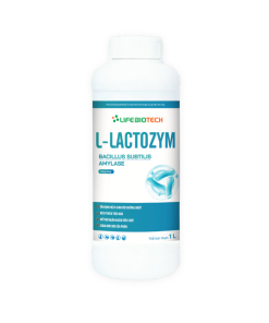 L-LACTOZYM-1L