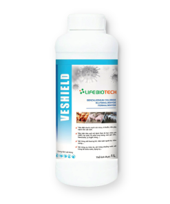 VESHIELD(1)
