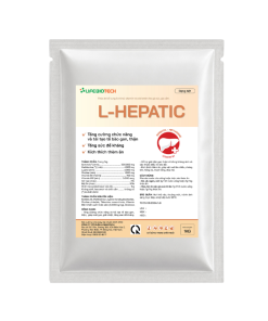 L-Hepatic-2