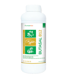BUTASAL-B12