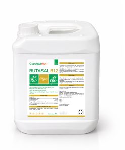 BUTASAL-B12-2