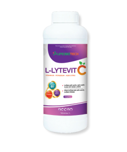 L-LYTEVIT-C