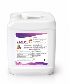 L-LYTEVIT-C-2