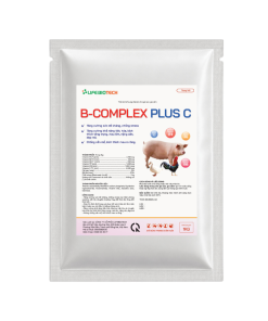 B-COMPLEX-PLUS-C-2