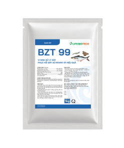 BZT-99-2