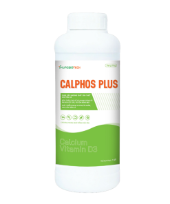 CALPHOS-PLUS
