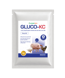 Gluco-KC