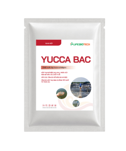 Yucca-Bac