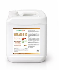 Hepato-B12-2