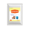 GLUCAN-MAX