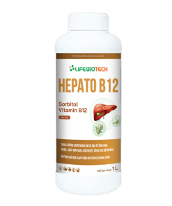 Hepato-B12