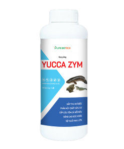 Yucca-Zym