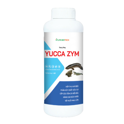 Yucca-Zym